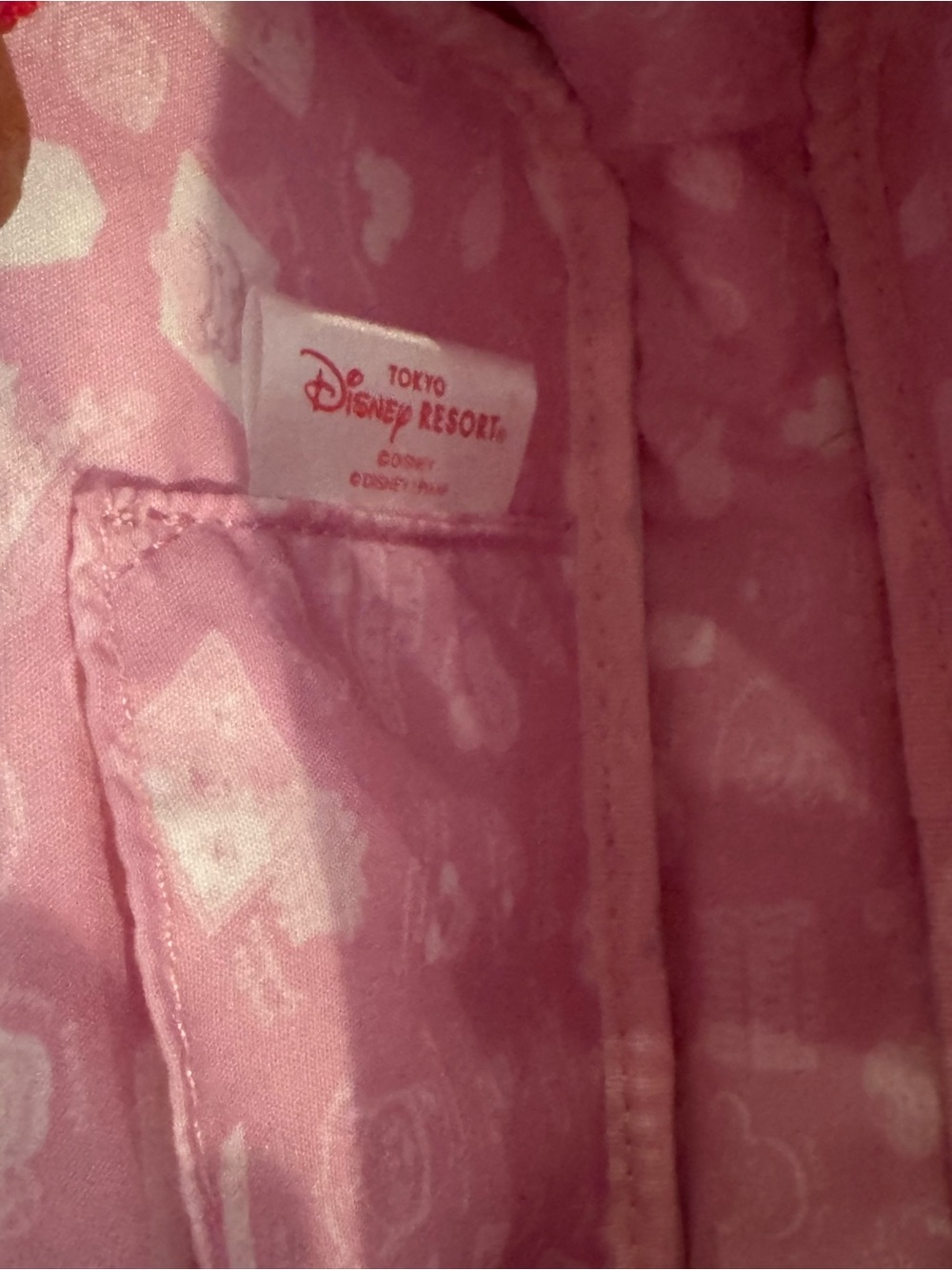 Tokyo Disney Resort Holographic Silver mini bag - Picture 6 of 6